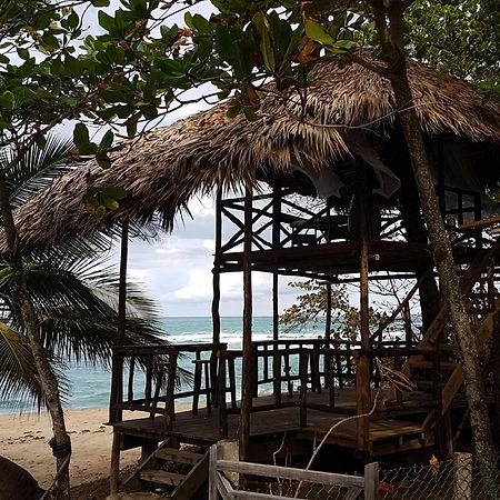 Cabarete Maravilla Eco Lodge & Beach La Mulata Extérieur photo