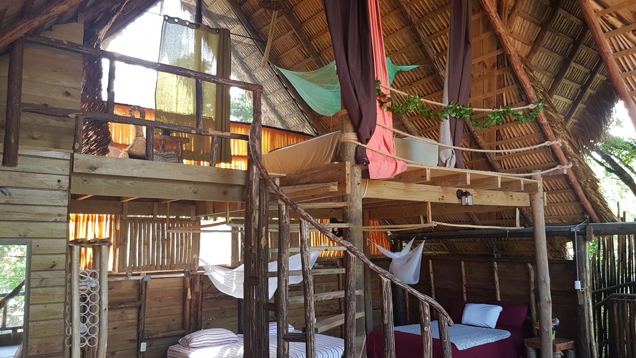 Cabarete Maravilla Eco Lodge & Beach La Mulata Extérieur photo